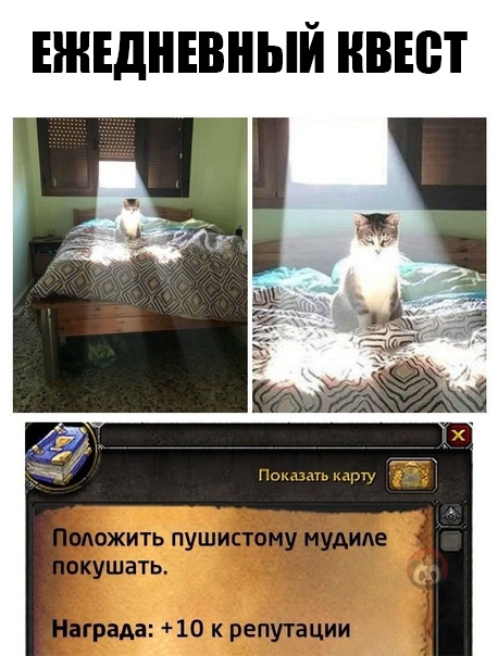zZzMmgzHKbg.jpg