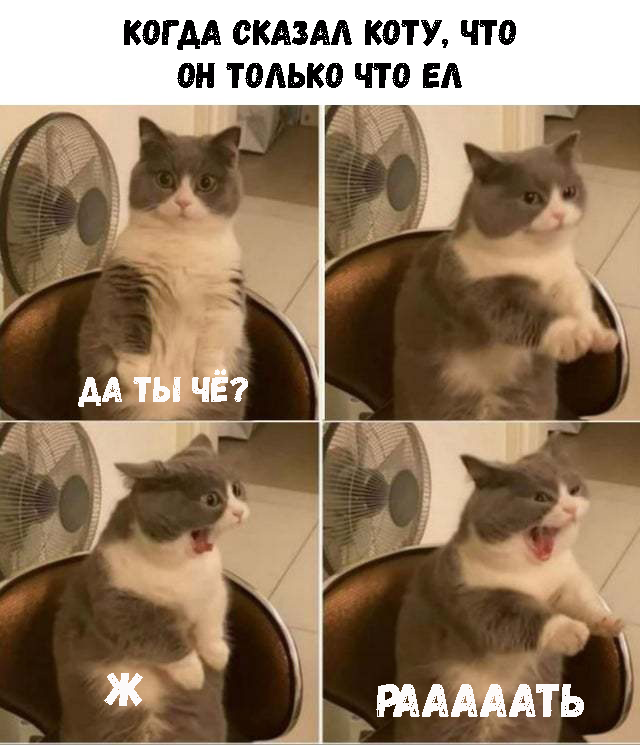 79el4tnHWXw — копия.png