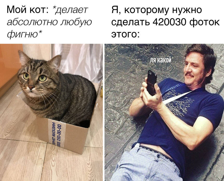 nN8q0tn1hqA.jpg