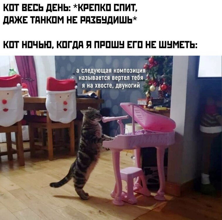 usqrmQGWrWc.thumb.jpg.8b9c6f0101ddd9b8c5953c7110611bc0.jpg