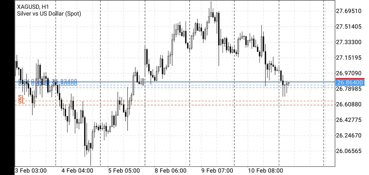 Screenshot_20210211_081351_net.metaquotes.metatrader5.jpg