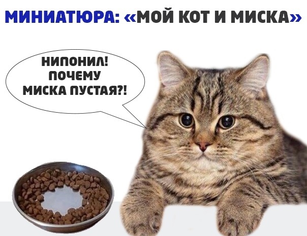 VAyKZpRO_tQ.jpg.019e591c69bd4492338cfb6980c8740f.jpg