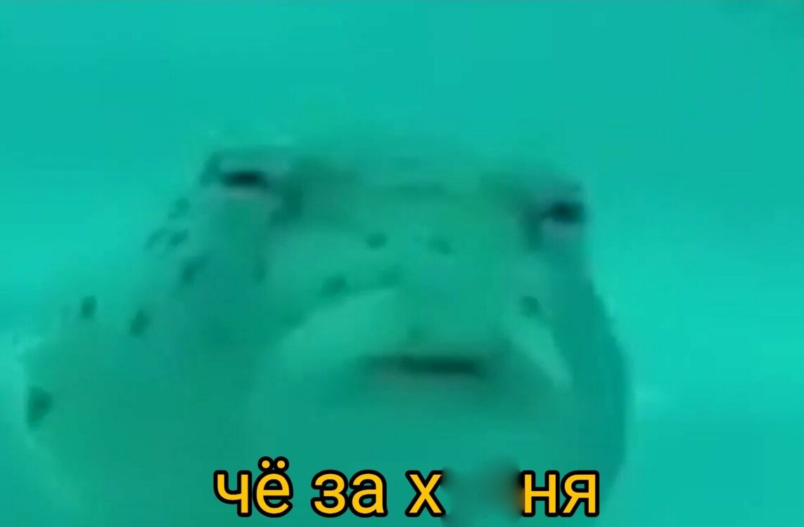 EU6_0FdpwoQ — копия.jpg