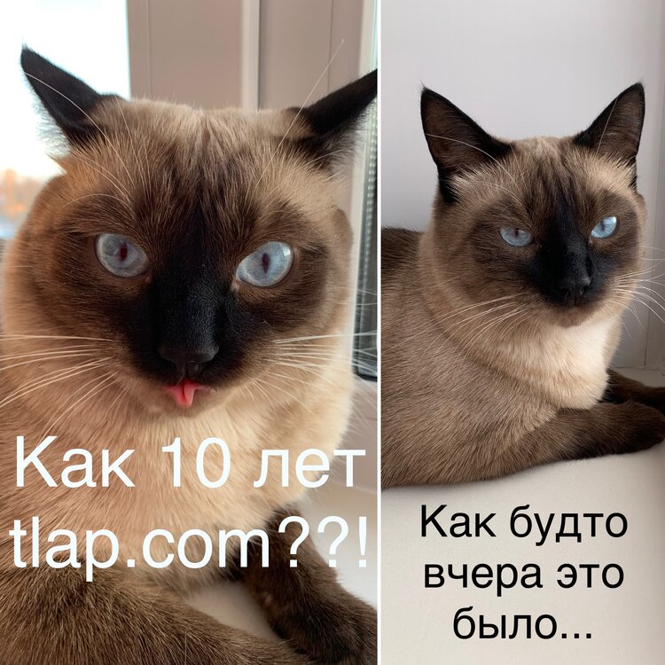 66D33AE2-F624-4E79-AF54-B76026C79F2C.thumb.jpeg.5ff79048a5fb5de0eb8a2247902c4c23.jpeg