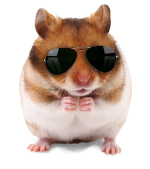 Andy-Hamster-LR.jpg