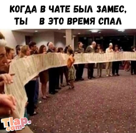 339523408_a2HuzaQGIK8.png.c26576663bacf8870f934dbc1a35b9d4.png