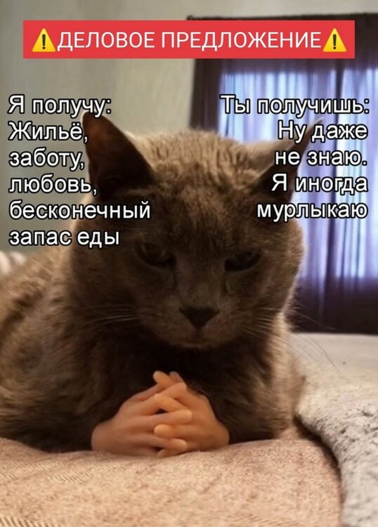 6uDEKvdje34.thumb.jpg.6d8b026e60e0a1dbb56e916ac037be29.jpg