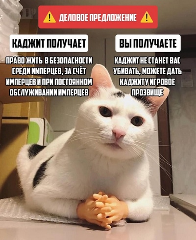 iiZpCLilKLo.jpg.753d0802d35e736fa51b802325e3365d.jpg