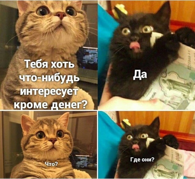 jT6dForLL38.jpg.2c389add0c20e4c8e4f81909b496f717.jpg