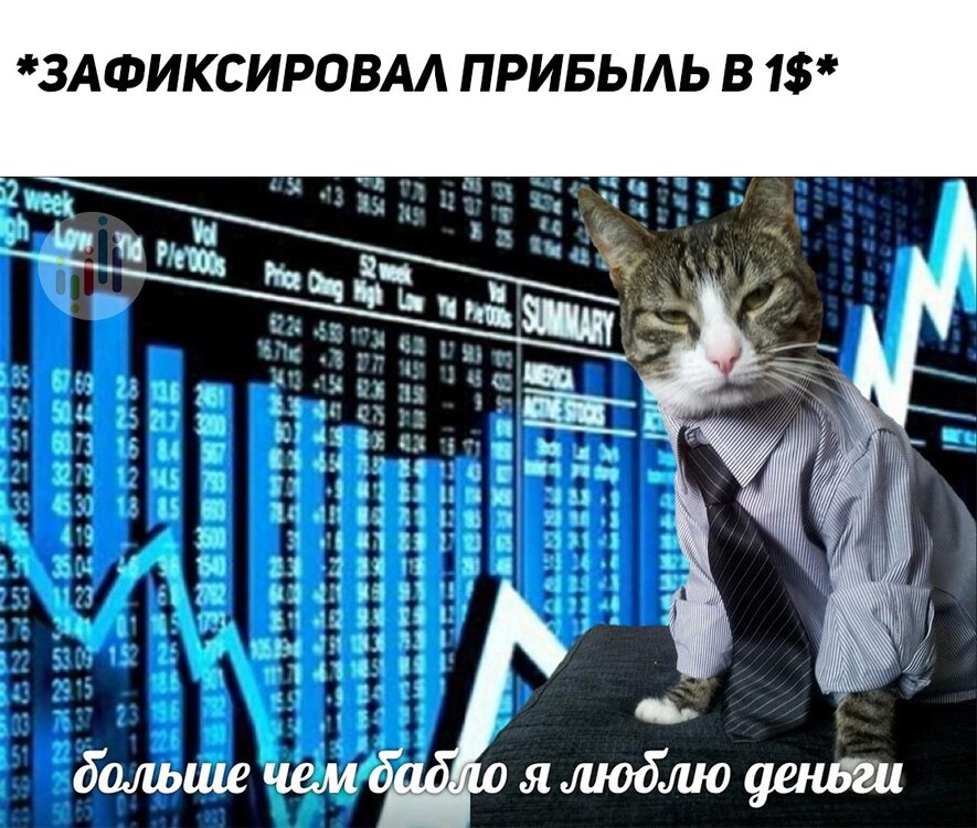 tyfZY6e4Cj0.jpg