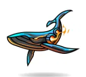 Аватар AlgoWhale