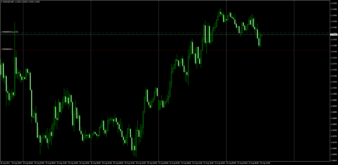 EURUSDM30_24-08-21_12-30_buy.png
