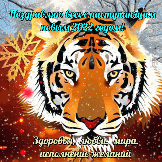684206f0-508c-4db2-bbef-ca1b90273ceb.gif.62a80e050d68463c226a792c5bfd380e.gif