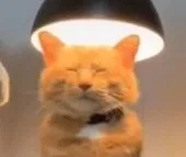 Аватар Mortifer