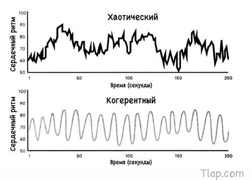 503796176_1.jpg.b0faa24e6beca2e0fe32367af79fb353.jpg