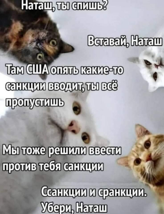 image.thumb.png.e58b67773c59fee645b8e27c8ea7862f.png