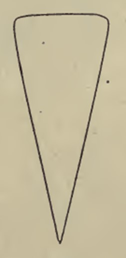 875301971_1.jpg.000e86c039f119d7fd9ca320d19ed21e.jpg