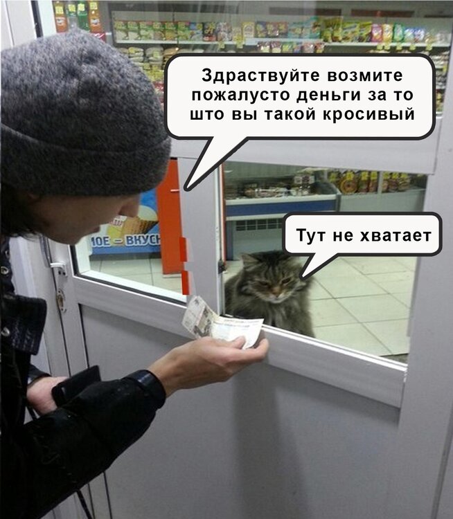 image.thumb.jpeg.4d354ab464acebbd8d22b9dcf08cc86f.jpeg