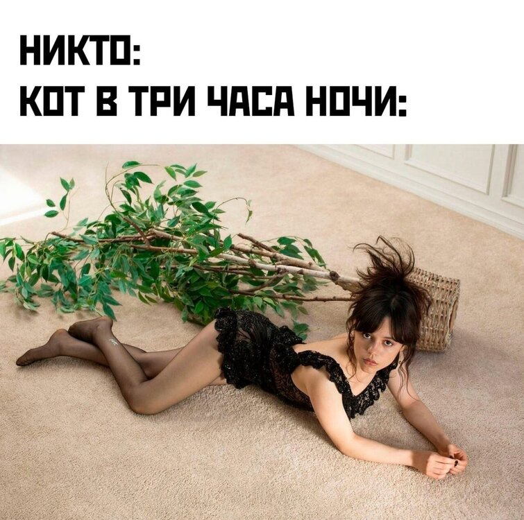 image.thumb.jpeg.1f1433d7f23d90fae1f9061977c200ec.jpeg