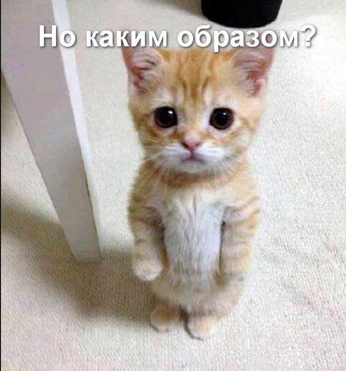 3.thumb.jpg.d90c45637337bacfda844fff2b0aec9a.jpg