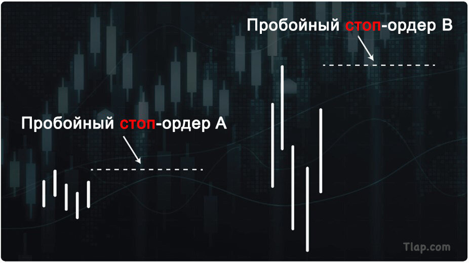 4.jpg.68df975f762d87c738894bfc0e13da47.jpg