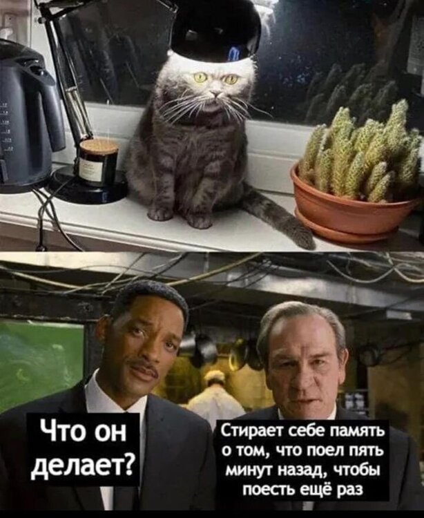 image.thumb.jpeg.b43303ee41833d5744dfe57eeabff4e0.jpeg