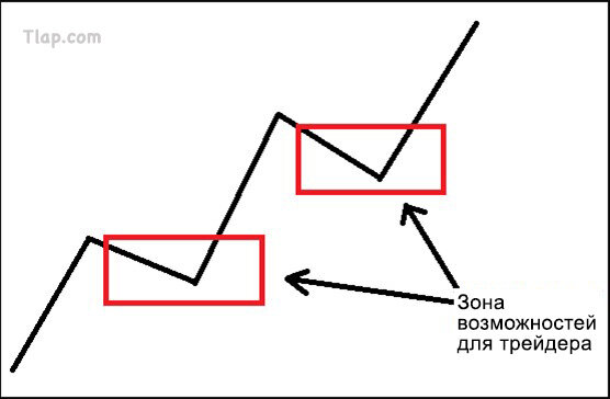 13.jpg.df8d584823028cd76a219b7b94250f48.jpg