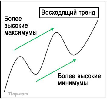 5.jpg.d2571083207bb8aa3dc54e460d8b650e.jpg