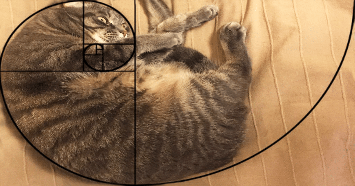 8.jpg.315d0151df3df1b684d803a92c0ed717.jpg
