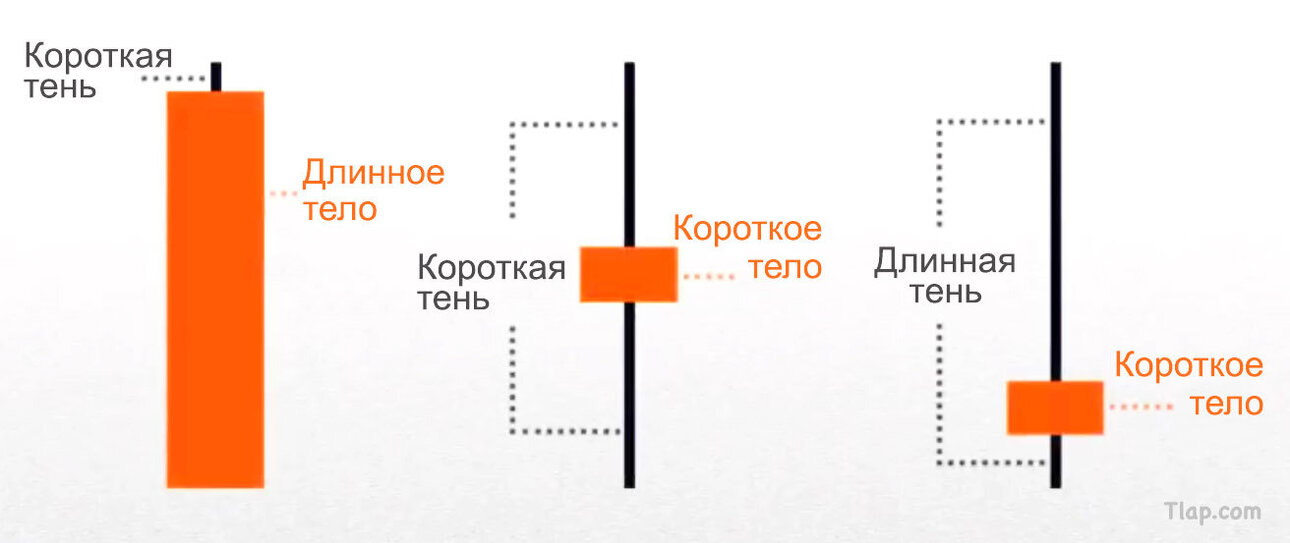 16.thumb.jpg.ab9db22ebe3252578c72b83ef875b4f8.jpg