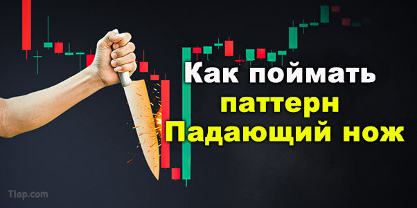 7.jpg.66b68abb3cd1271c11006050856b1a63.jpg