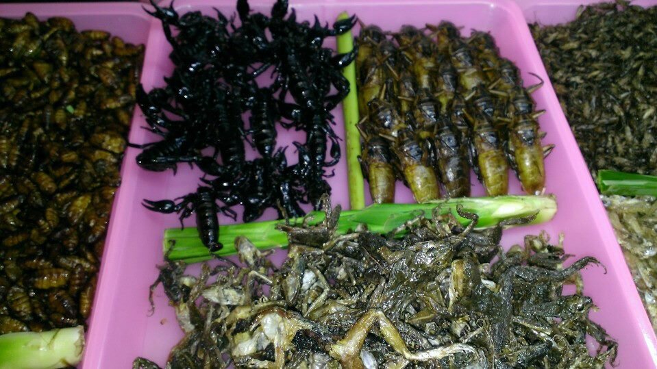 7Exotic-Food.jpg.a69b2bef6681c55adf5b893961a8a309.jpg