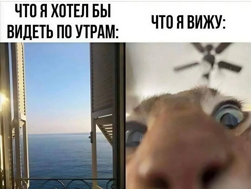 image.thumb.jpeg.ac74577220d5abbc069af4479bf3d6e3.jpeg
