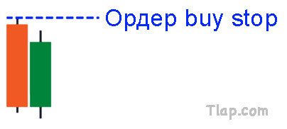 10..jpg.3a43e2e581f72534cde2fcdb97e3eb81.jpg