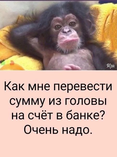 image.png.efbcbb86ed0966f82ea7b8f37d8cd50f.png