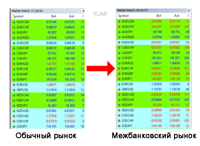 1.jpg.604f1bb620edec6238f5129acf6cc68e.jpg