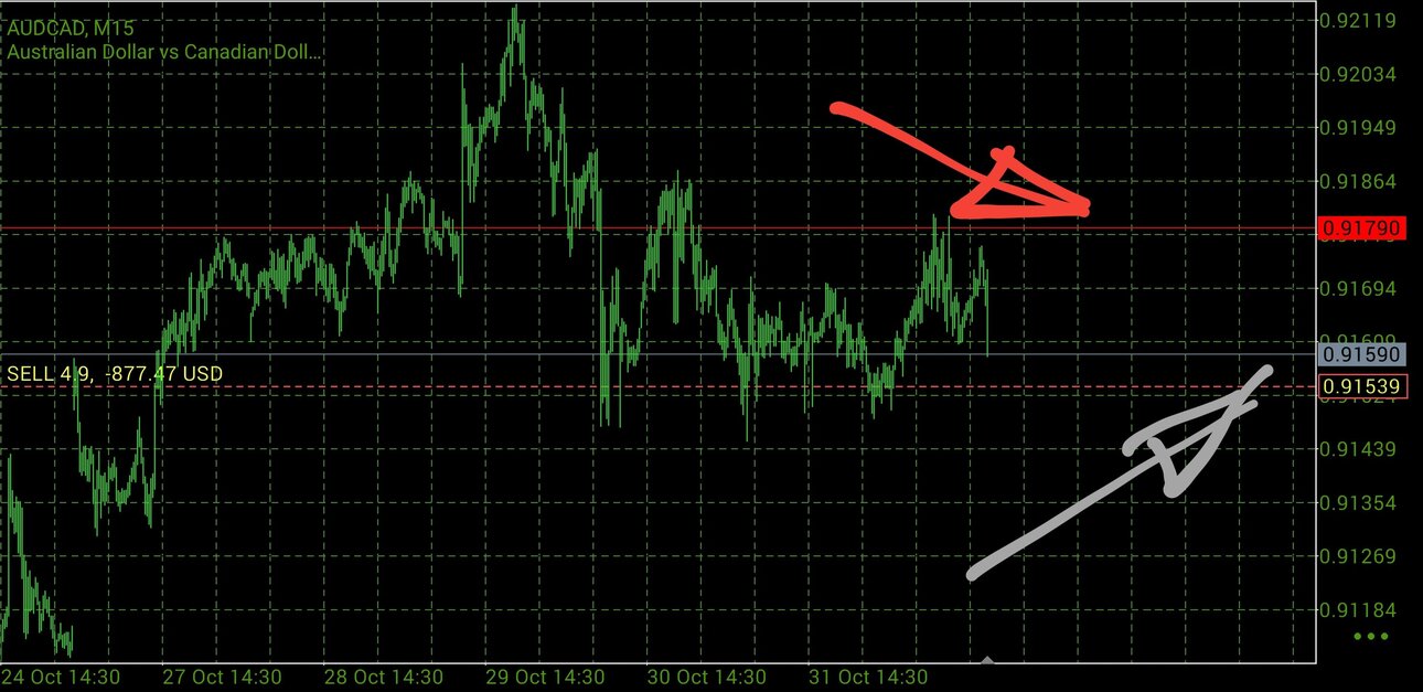 Screenshot_20251102-122019_MetaTrader 5.jpg