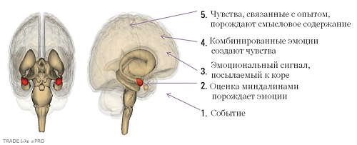 image.png.2d10bb5c419a4138769c57630579c508.png