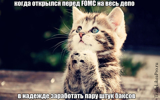 image.png.e4c56a7f62a1f6ff72608d41828b73a9.png