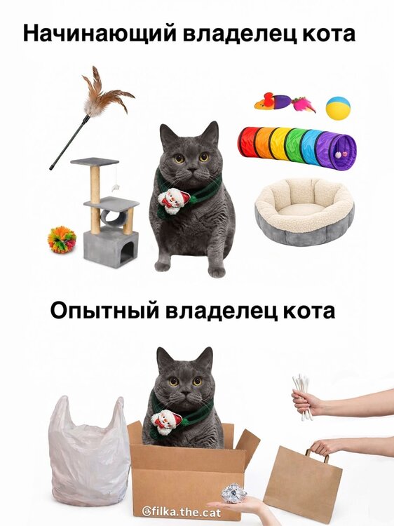 image.thumb.jpeg.e65f553ecd2acde8321c5c566bc083d1.jpeg