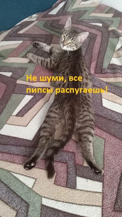 qqq.jpg